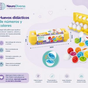 Huevos didácticos de números y colores